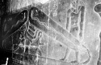 Bas relief de Denderah